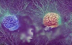brain-628cce-thumb