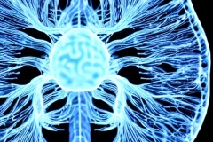 cf927990-bc72-48b3-aa22-e4e1b976b0e0